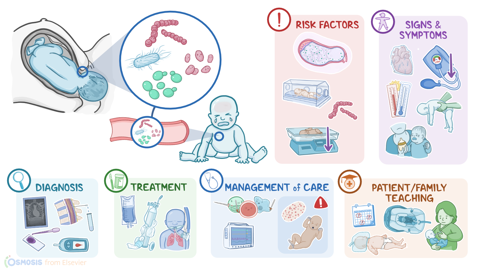 Neonatal Sepsis: A Parent’s Guide to Infection in Newborn Babies